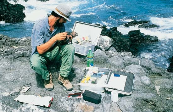 Универсальный контейнер K470 Zarges 40846